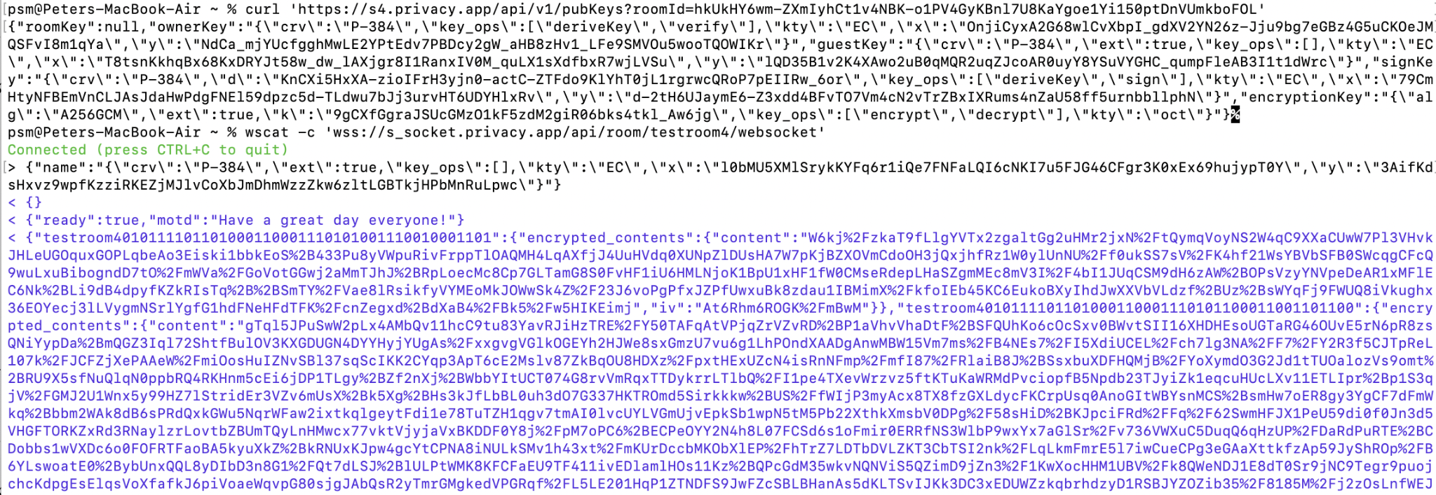 _images/curl_example_01.png
